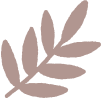 Bebiotic